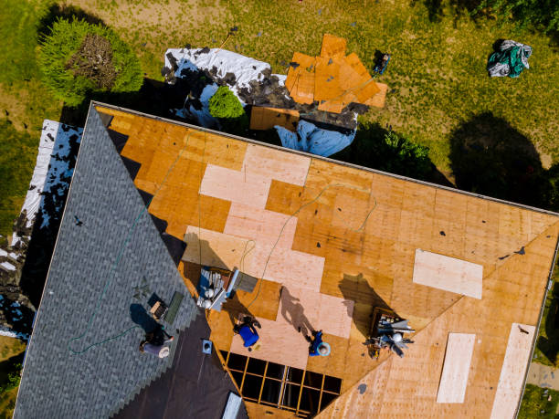 Best Residential Roofing Contractor  in Montgomery, WV