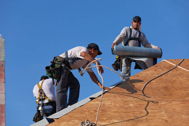 Best New Roof Installation  in Montgomery, WV