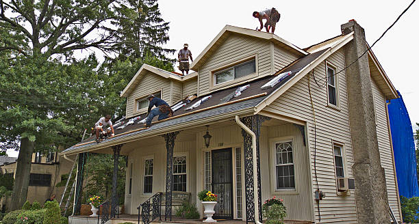 Best Best Roofing Contractors  in Montgomery, WV