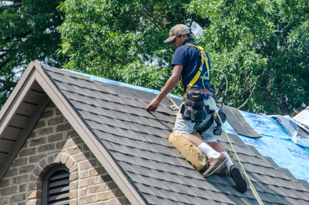 Best Residential Roofing Contractor  in Montgomery, WV